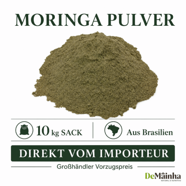 Moringa Großhandel B2B Import kaufen